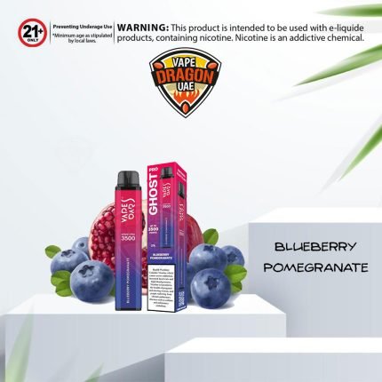 Blueberry Pomegranate Vapes Bar Ghost Pro 3500 Puffs